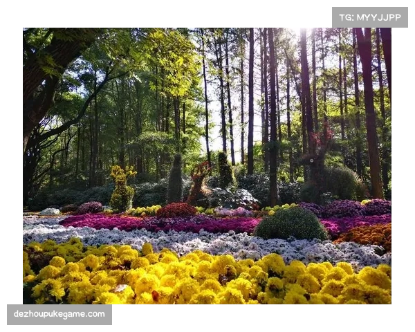 UFC322副赛阵容强大 十三场对决涵盖多个量级选手